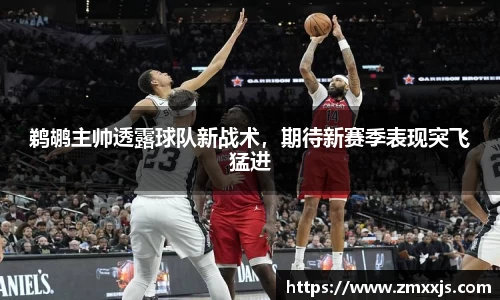 鹈鹕主帅透露球队新战术，期待新赛季表现突飞猛进