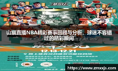 山猫直播NBA精彩赛事回顾与分析，球迷不容错过的精彩瞬间