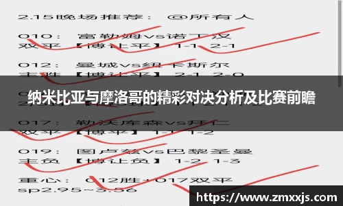 纳米比亚与摩洛哥的精彩对决分析及比赛前瞻