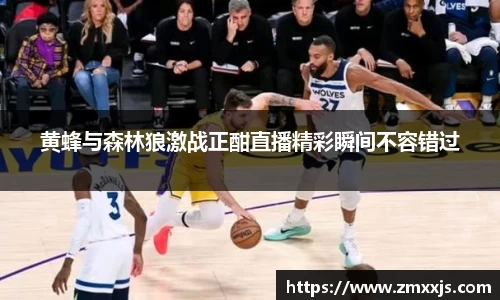 黄蜂与森林狼激战正酣直播精彩瞬间不容错过
