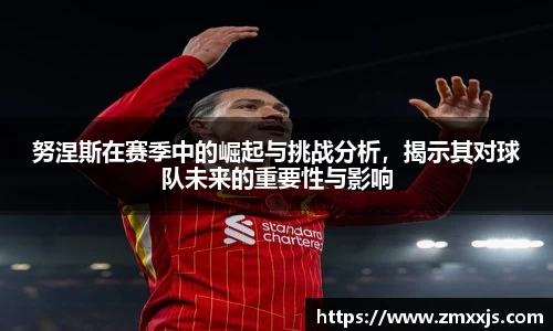 努涅斯在赛季中的崛起与挑战分析，揭示其对球队未来的重要性与影响