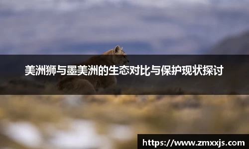 博鱼中国官方网站