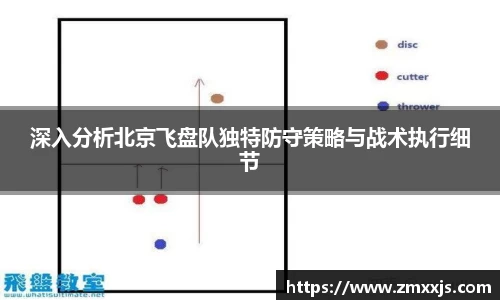 深入分析北京飞盘队独特防守策略与战术执行细节